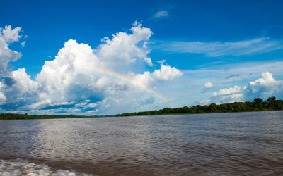 To the Amazon River: Plan Colombia – Part 1, Wall Hangings and Cartegena