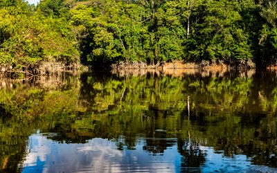 To the Amazon River: Plan Colombia, Part 3 — Hilario, Barrio Simon Bolivar, Bucaramanga, Bogotá, High Fashion Leather and Amazon Basketry