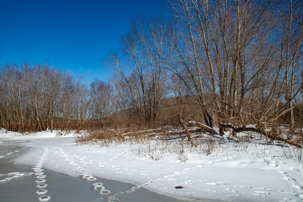 Panther Creek Hollow, Crooked Creek, Hoosier National Forest