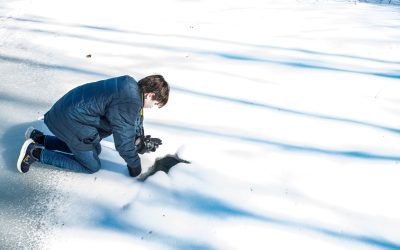 BACK TO THE DEAM WILDERNESS: Revisiting the Deam Wilderness: A Hike to Panther Creek Hollow