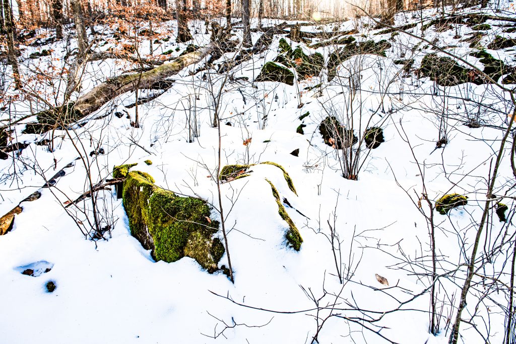Mt. Carmel Fault, Charles C. Deam Wilderness, Hoosier National Forest