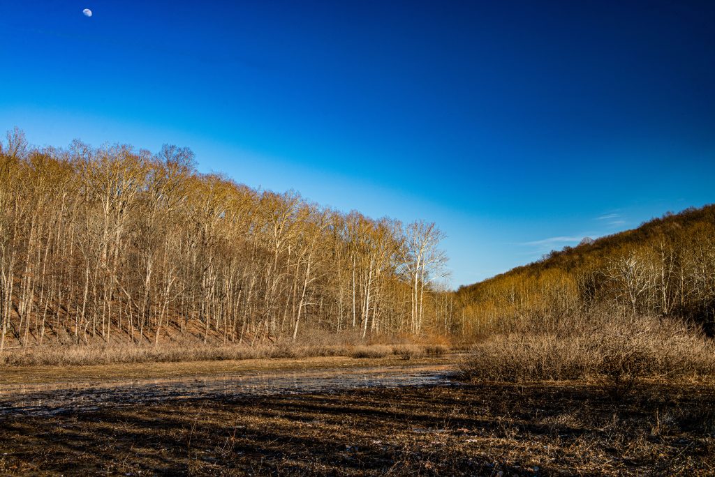 Panther Creek Hollow, Hoosier National Forest