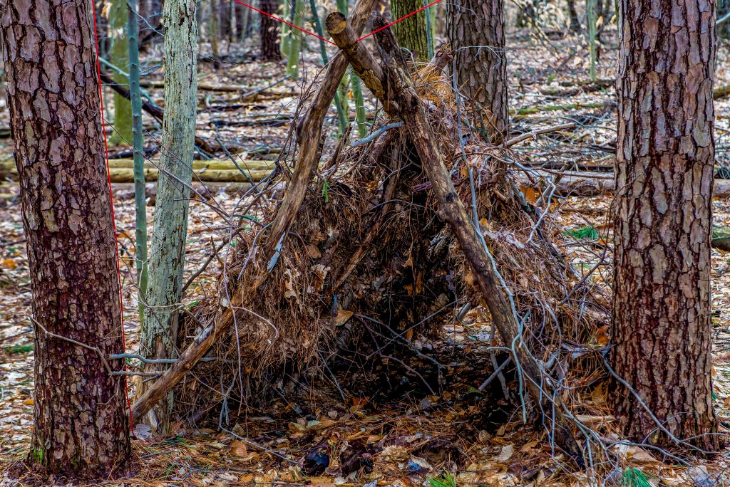 Terrill Ridge Trail, Charles C. Deam Wilderness, Hoosier National Forest