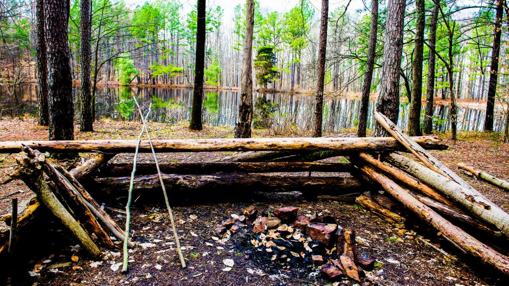 Terrill Ridge Trail, Charles C. Deam Wilderness, Hoosier National Forest