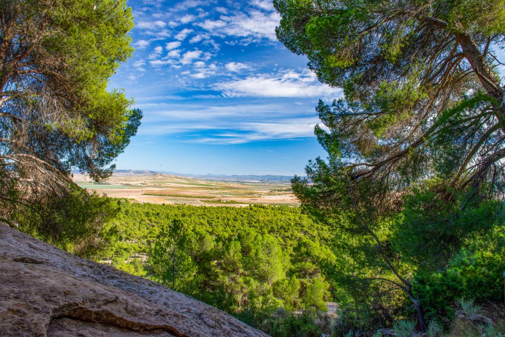 Monte Arabí, Yecla, Spain
