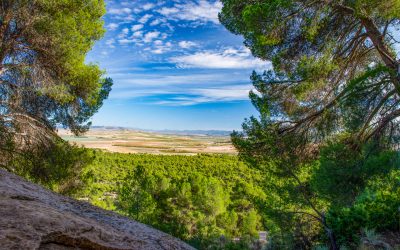 PHOTO ALBUM: Monte Arabí, UNESCO World Cultural Site, Yecla, Spain
