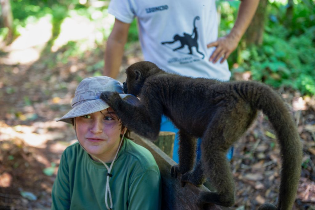Maikuchiga Monkey Sanctuary, Mocagua, Colombia, Amazon River