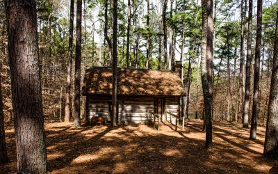 BACK TO THE DEAM WILDERNESS: Unexpected Light on the Charles C. Deam Wilderness, Human History