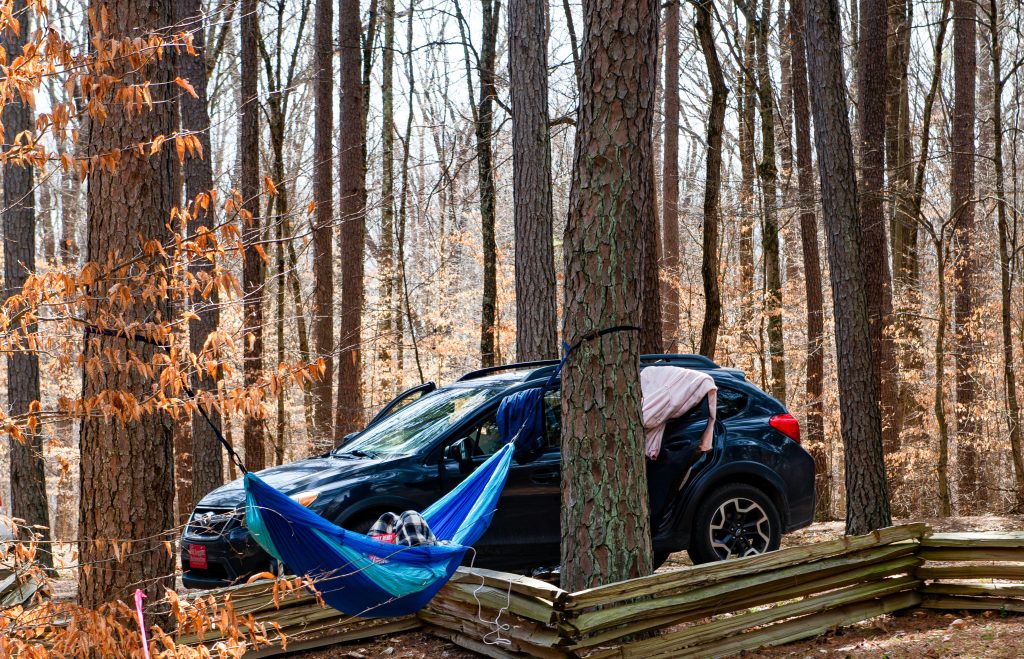 Solitary Traveler, Charles C. Deam Wilderness, Hoosier National Forest