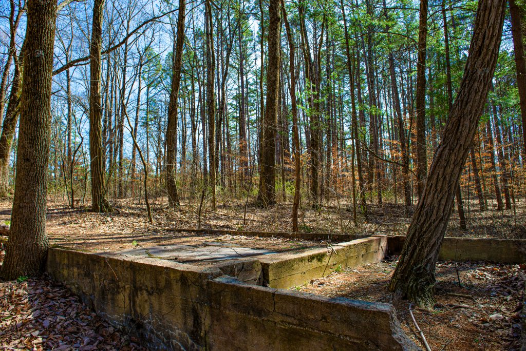 Terrill Ridge Trail, Charles C. Deam Wilderness, Hoosier National Forest