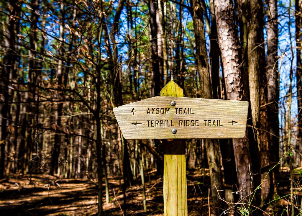 Terrill Ridge Trail, Charles C. Deam Wilderness, Hoosier National Forest