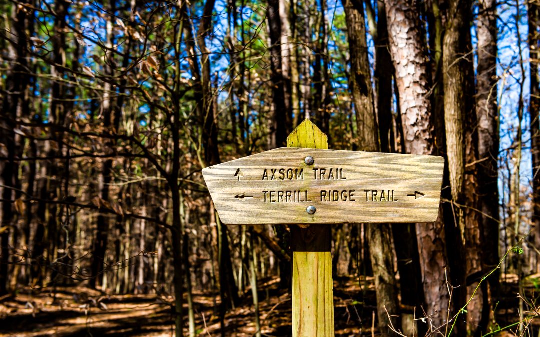 Terrill Ridge Trail, Charles C. Deam Wilderness, Hoosier National Forest