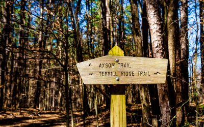 PHOTO ARCHIVE: Charles C. Deam Wilderness — Terrill Ridge Trail, 2016, 2026