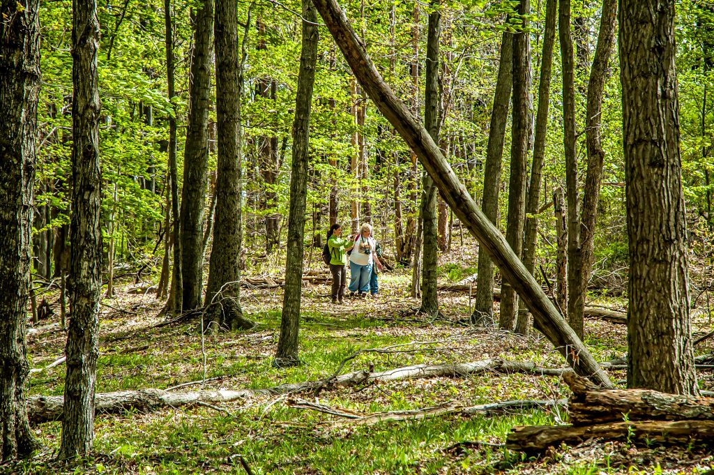Natural Bloomington Ecotour, Hoosier National Forest