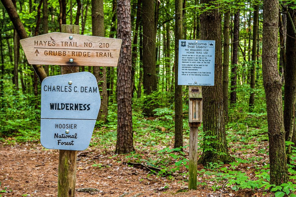 Hayes Trail, Charles C. Deam Wilderness, Hoosier National Forest