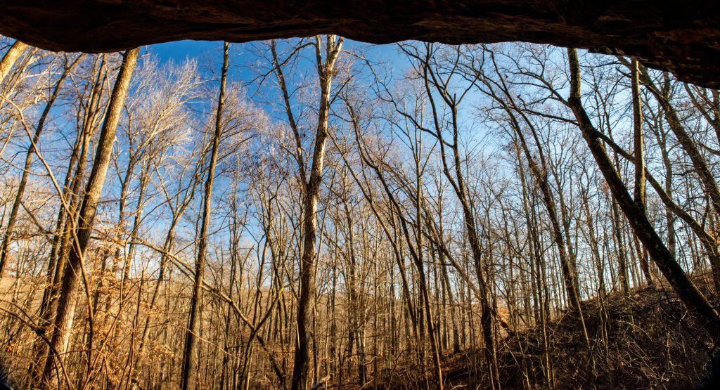 Rockhouse Hollow, Hoosier National Forest