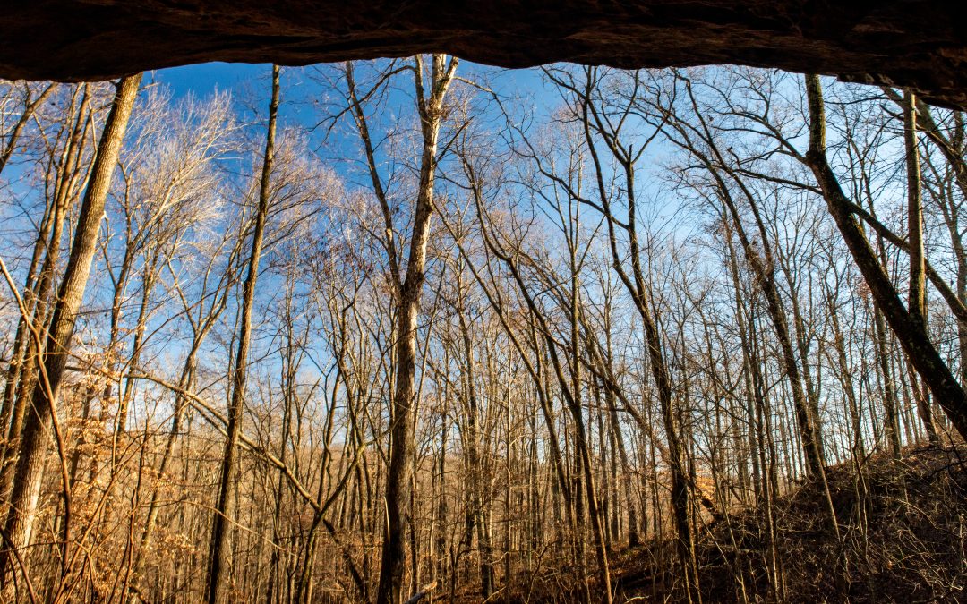 Rockhouse Hollow, Hoosier National Forest