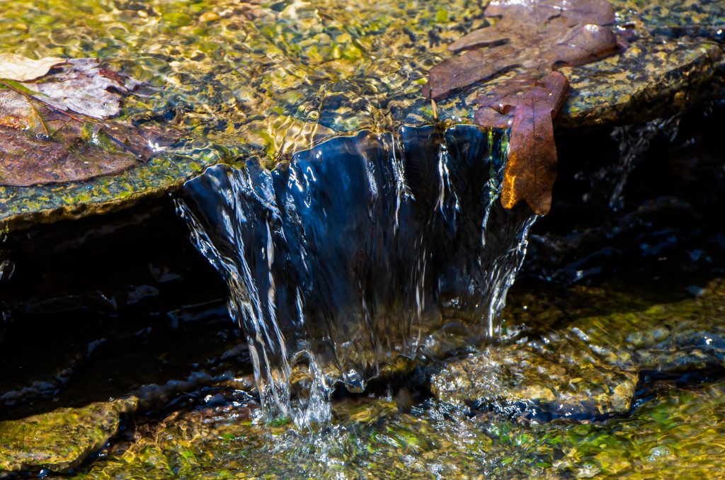 Hayes Trail, Charles C. Deam Wilderness, Hoosier National Forest