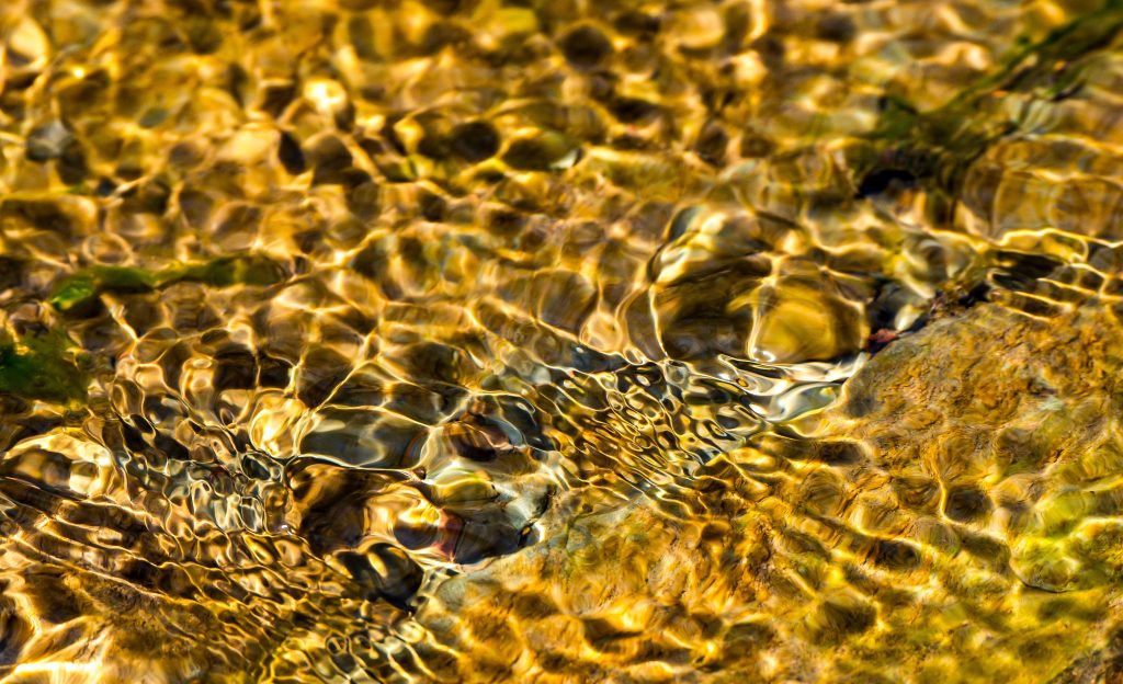 Hayes Trail, Charles C. Deam Wilderness, Hoosier National Forest