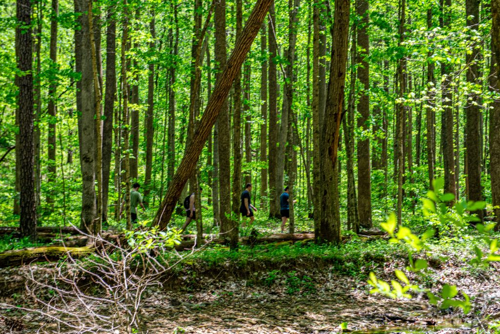 Hikers, Hayes Trail, Charles C. Deam Wilderness, Hoosier National Forest