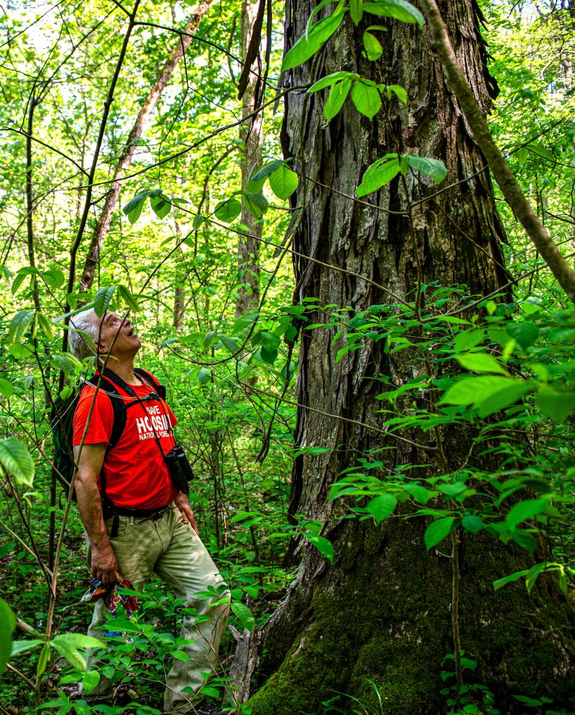 Jeff Stant, Charles C. Deam Wilderness, Hoosier National Forest