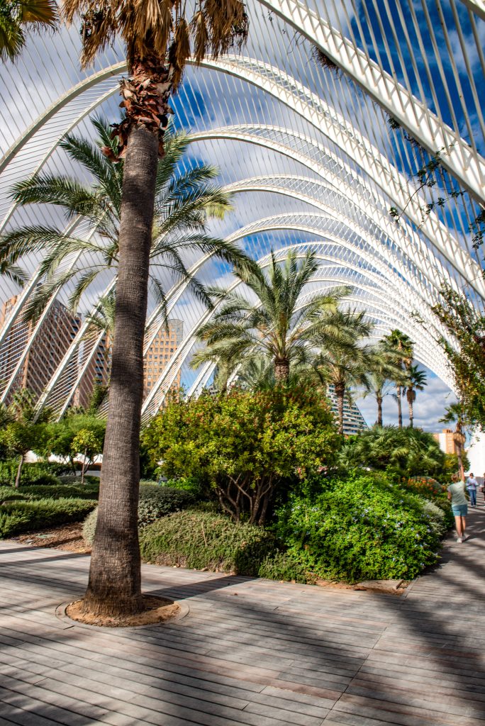 City of Arts and Sciences, Valencia, Spain