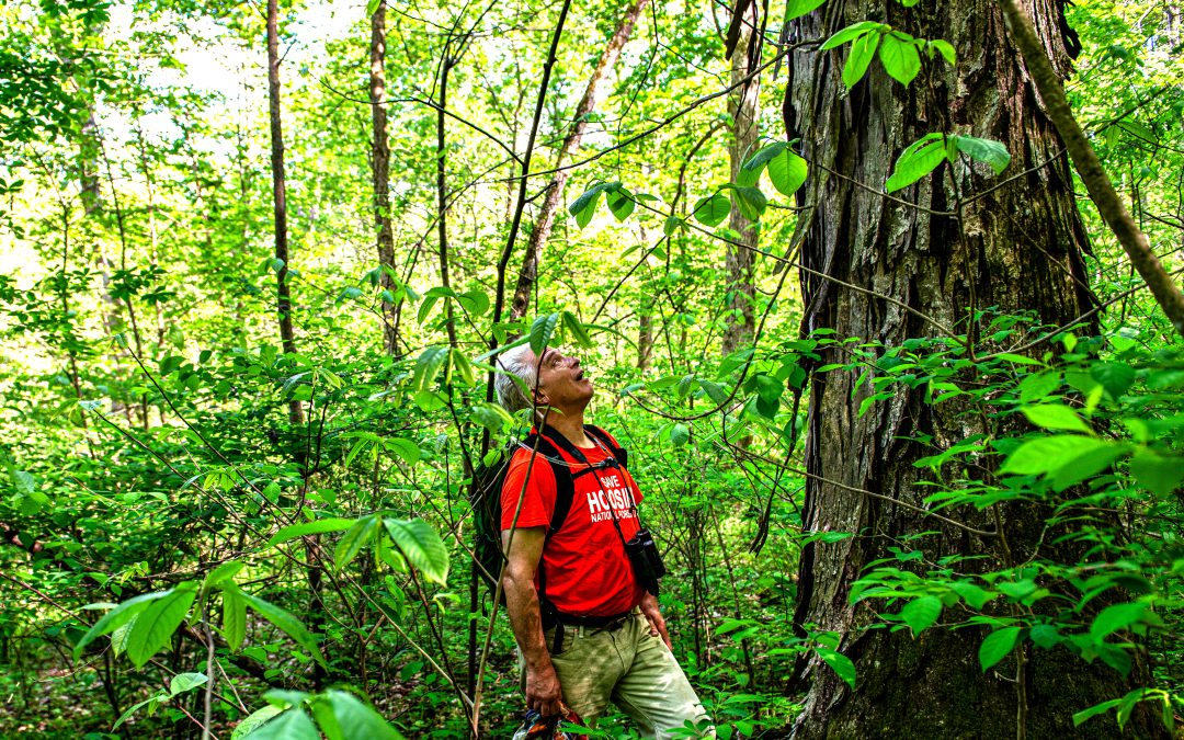 Jeff Stant, Charles C. Deam Wilderness, Hoosier National Forest