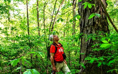 Envisioning the Deam Wildlands with Jeff Stant