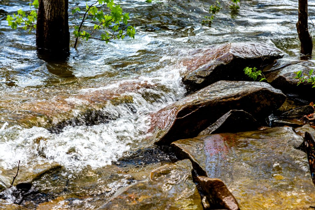 Lake Monroe, Monroe Trail, Hoosier National Forest