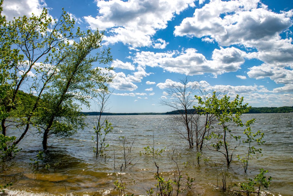Lake Monroe, Monroe Trail, Hoosier National Forest