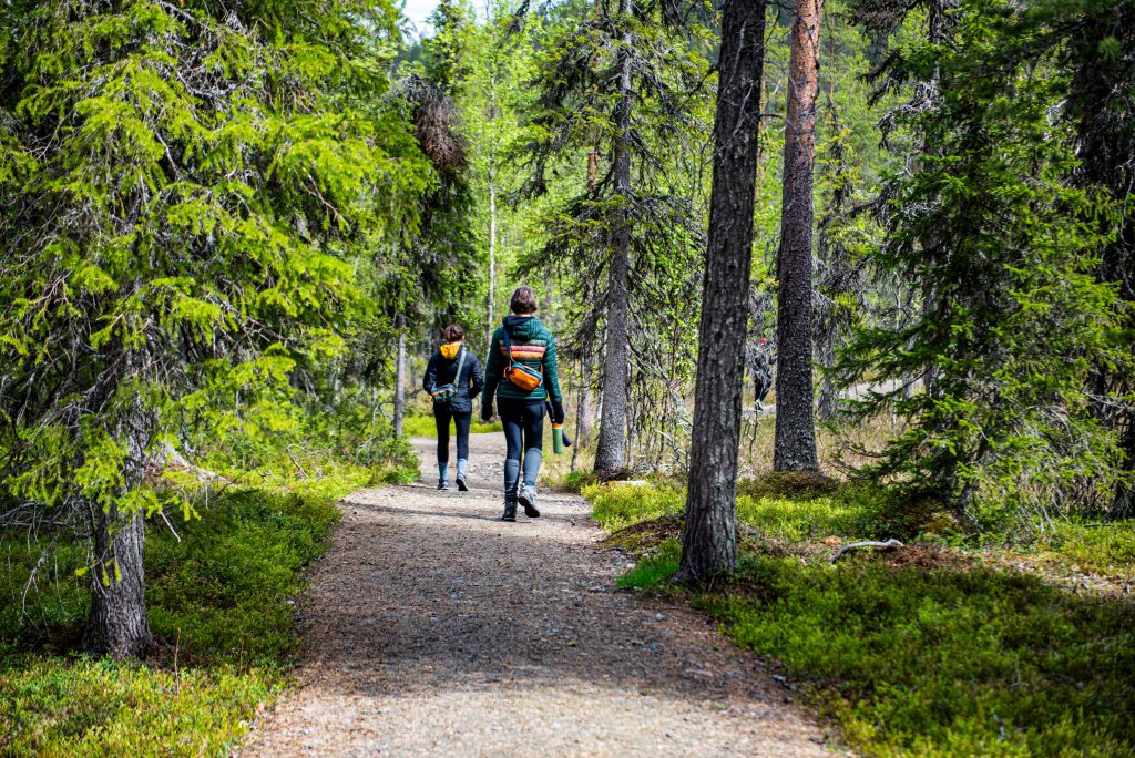 Pallas-Yllästunturi National Park, Finland