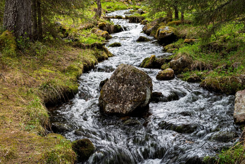Pallas-Yllästunturi National Park, Finland