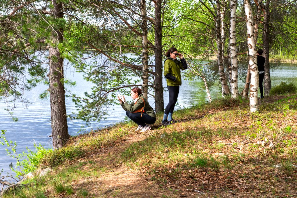 Lapland Lake Region, Finland