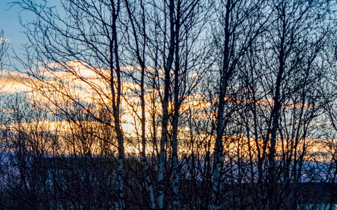 PHOTO ALBUM: Norway — Kautokeino, Capital of the Sami