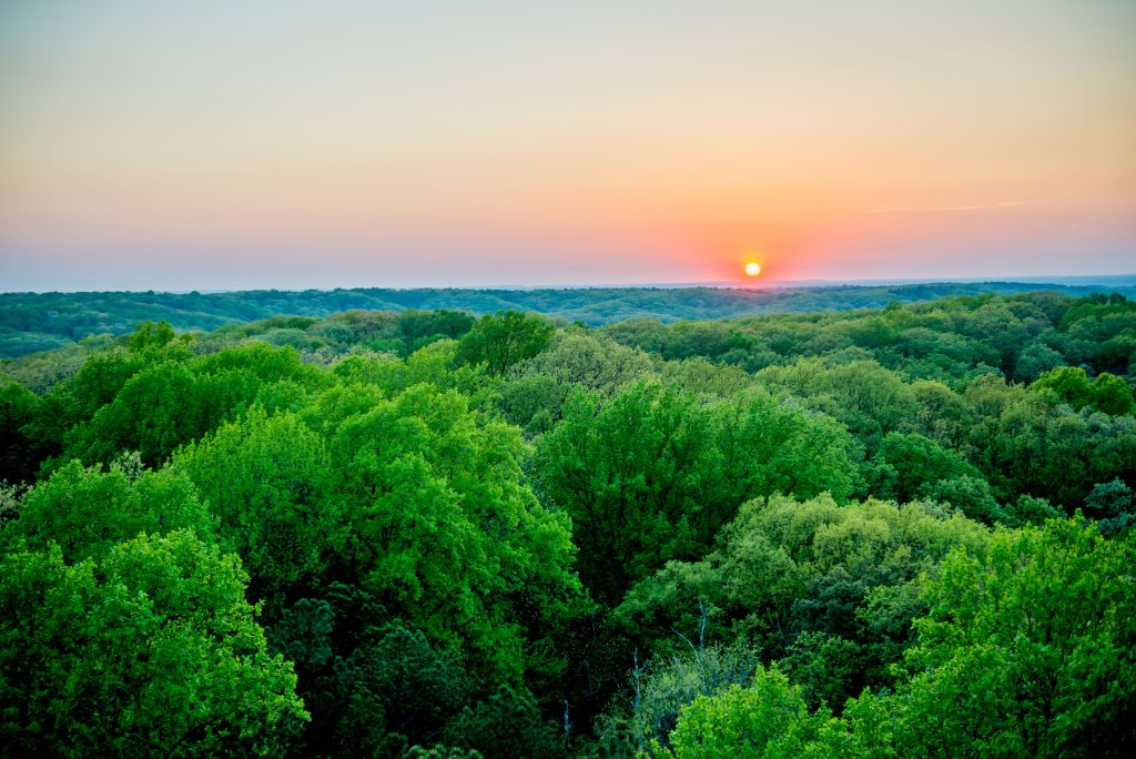 Hickory Ridge Lookout Tower, Hoosier National Forest