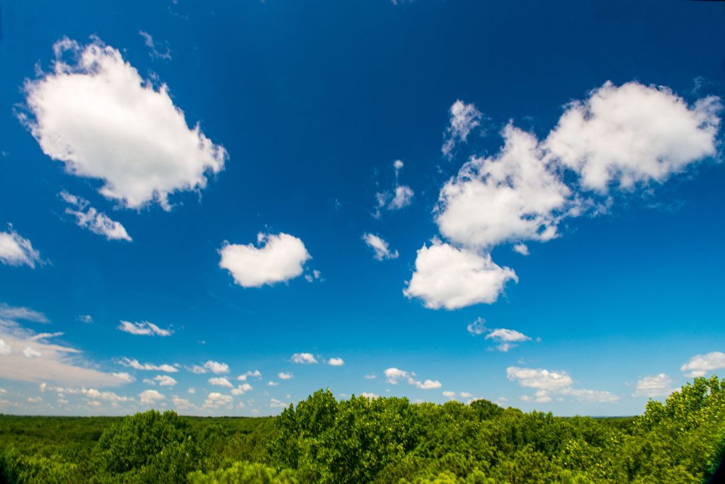 Hickory Ridge Lookout Tower, Hoosier National Forest