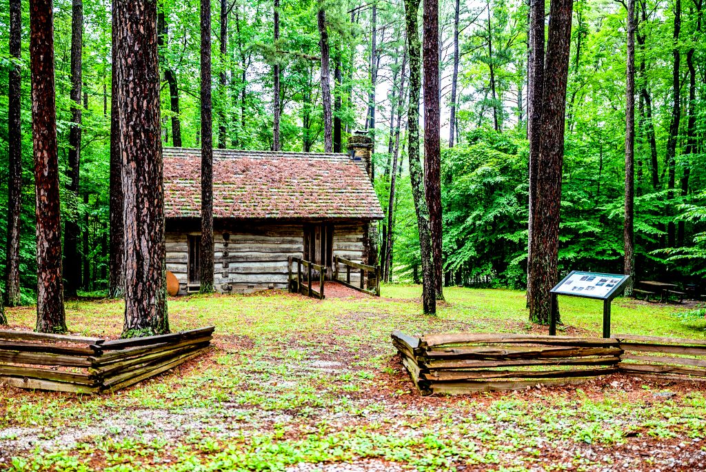 Brooks Cabin, Charles C. Deam Wilderness, Hoosier National Forest - Photograhph by Tom Diaz