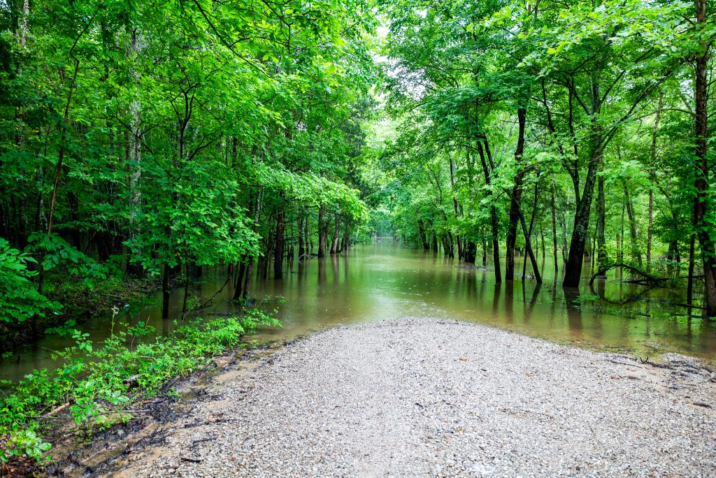 Salt Creek Middle Fork, Hoosier National Forest - Photograph by Tom Diaz