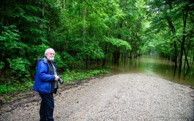 A Rainy Day Driving for Pleasure Through the Charles C. Deam Wilderness and Wildlands