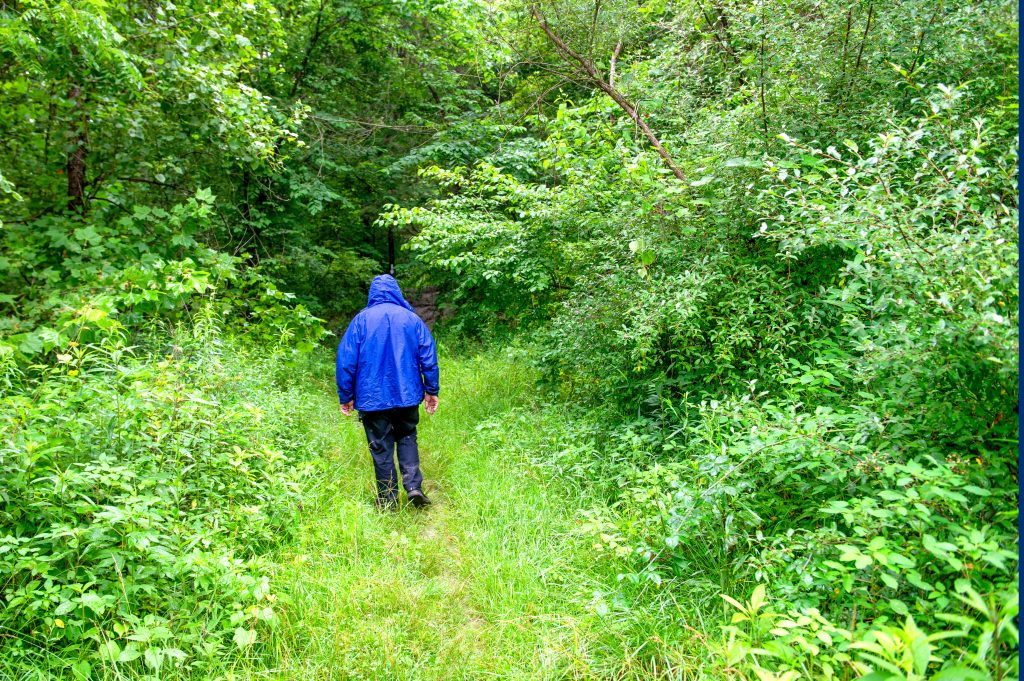 Nebo Ridge, Hoosier National Forest