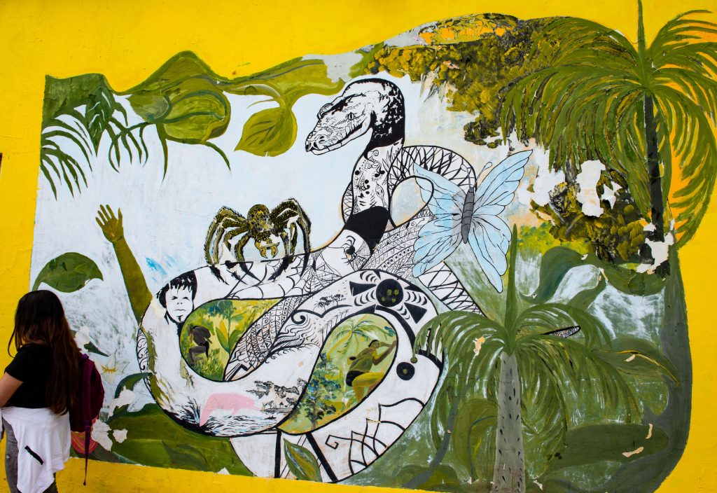 Street Art, Leticia, Colombia, Upper Amazon River