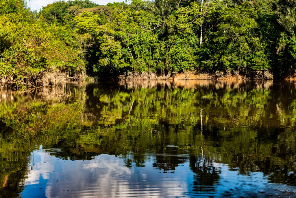 Amacayacu River, Upper Amazon River, Colombia